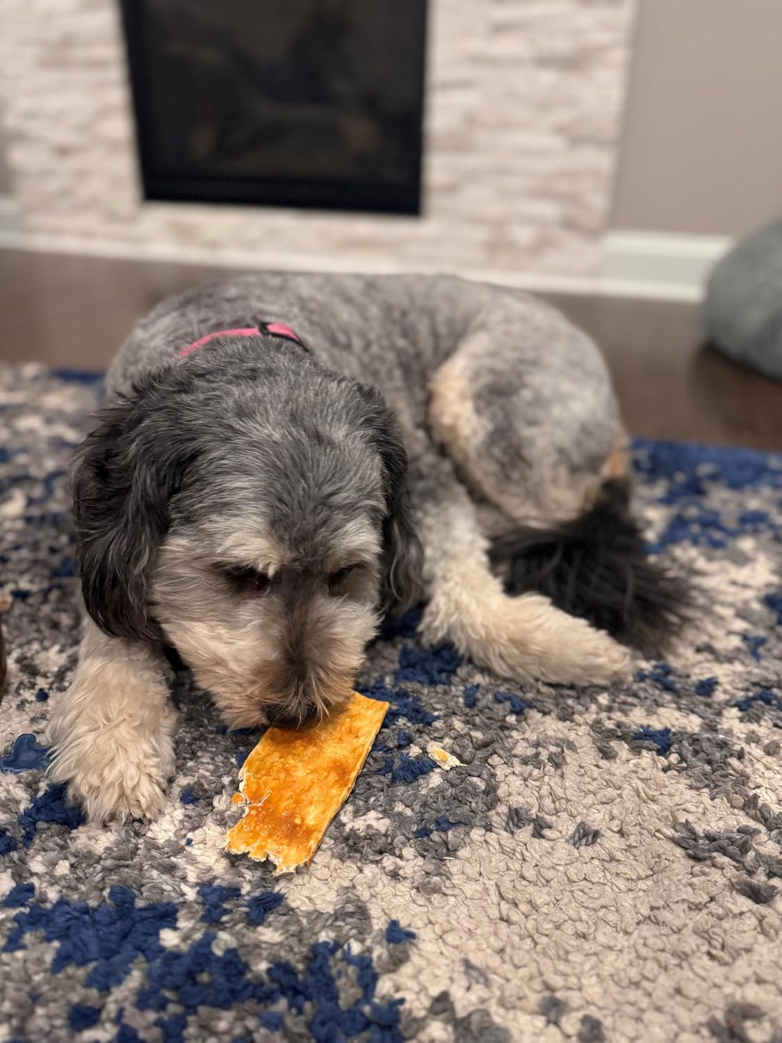 Fieldcrest Farms Nothin' to Hide Flip Chips - Collagen-Based Rawhide Alternative Dog Chews for Moderate Chewers Up to 35 lbs, Highly Digestible, Supports Joints & Skin, Fresh Salmon Flavor, 8 Chips - Image 10