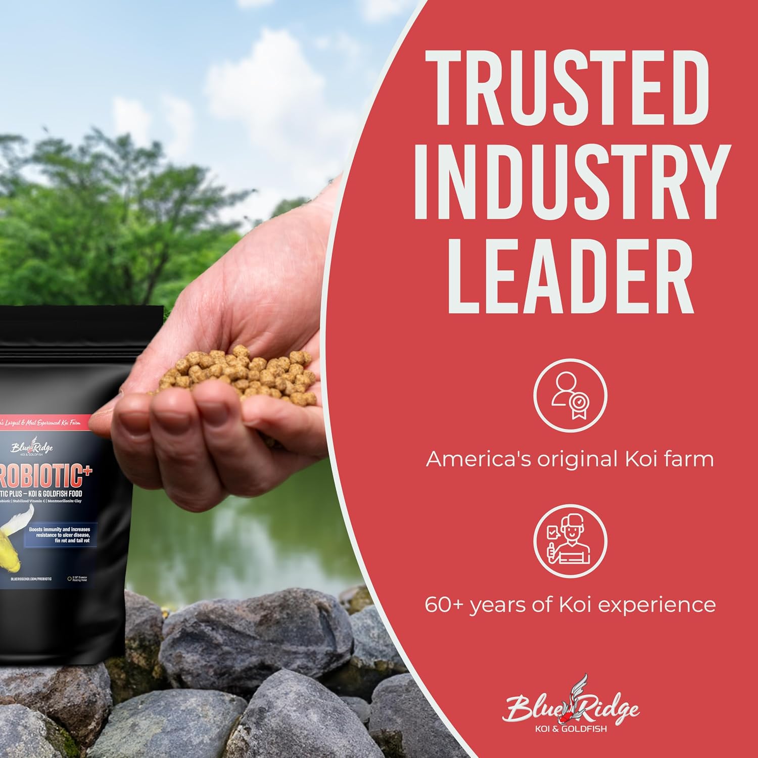 Blue Ridge Hatchery immune boosting fish food formula for healthy pond maintenance