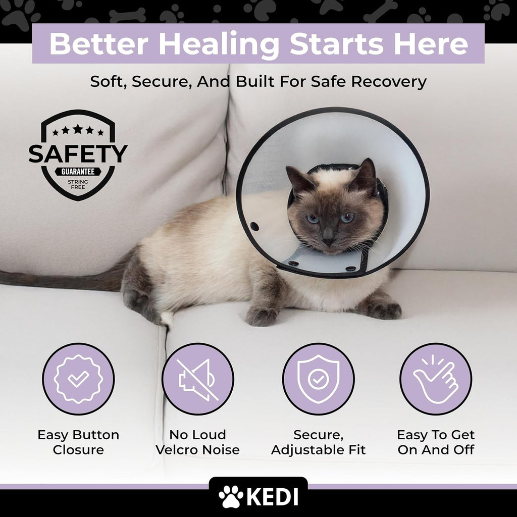 Side view of cat wearing soft protective recovery cone