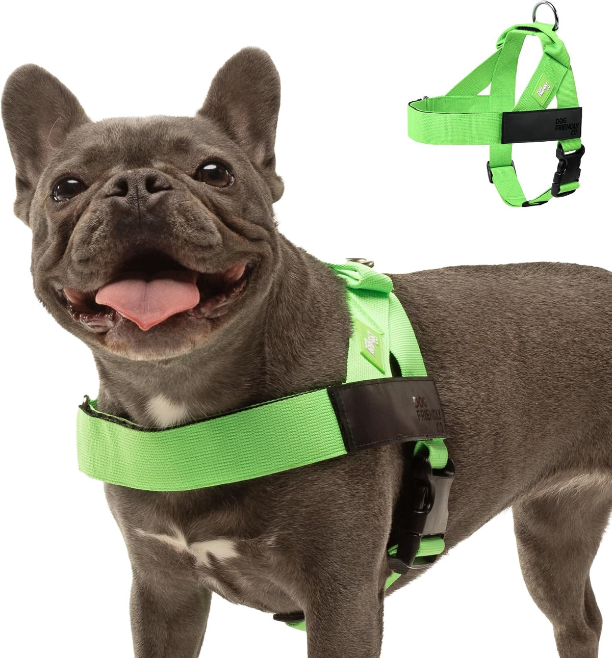 Dog Friendly Co. Dog Harness | Chafe Resistant Webbing, Adjustable Neck & Chest, and Heavy Duty D-Ring | Sturdy, Comfortable, Easy to Use | Classic Blue, Size L - Image 15