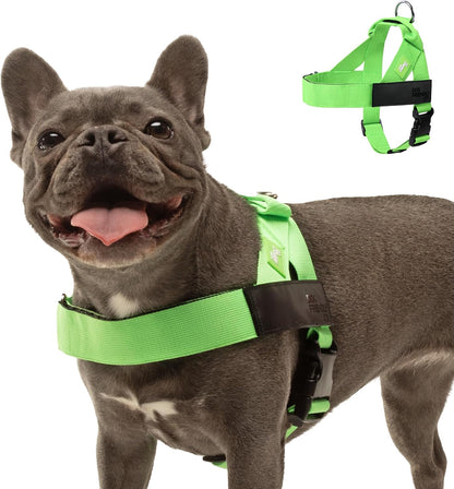 Dog Friendly Co. Dog Harness | Chafe Resistant Webbing, Adjustable Neck & Chest, and Heavy Duty D-Ring | Sturdy, Comfortable, Easy to Use | Classic Blue, Size L - Image 15