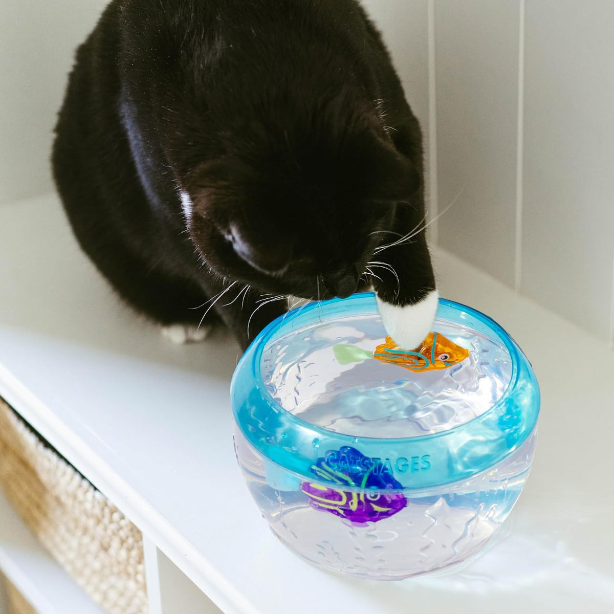 Premium imported Catstages electronic pet enrichment toys for indoor feline tracking play.