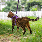 Close up shot of the secure adjustable plastic buckles on a lightweight cat vest