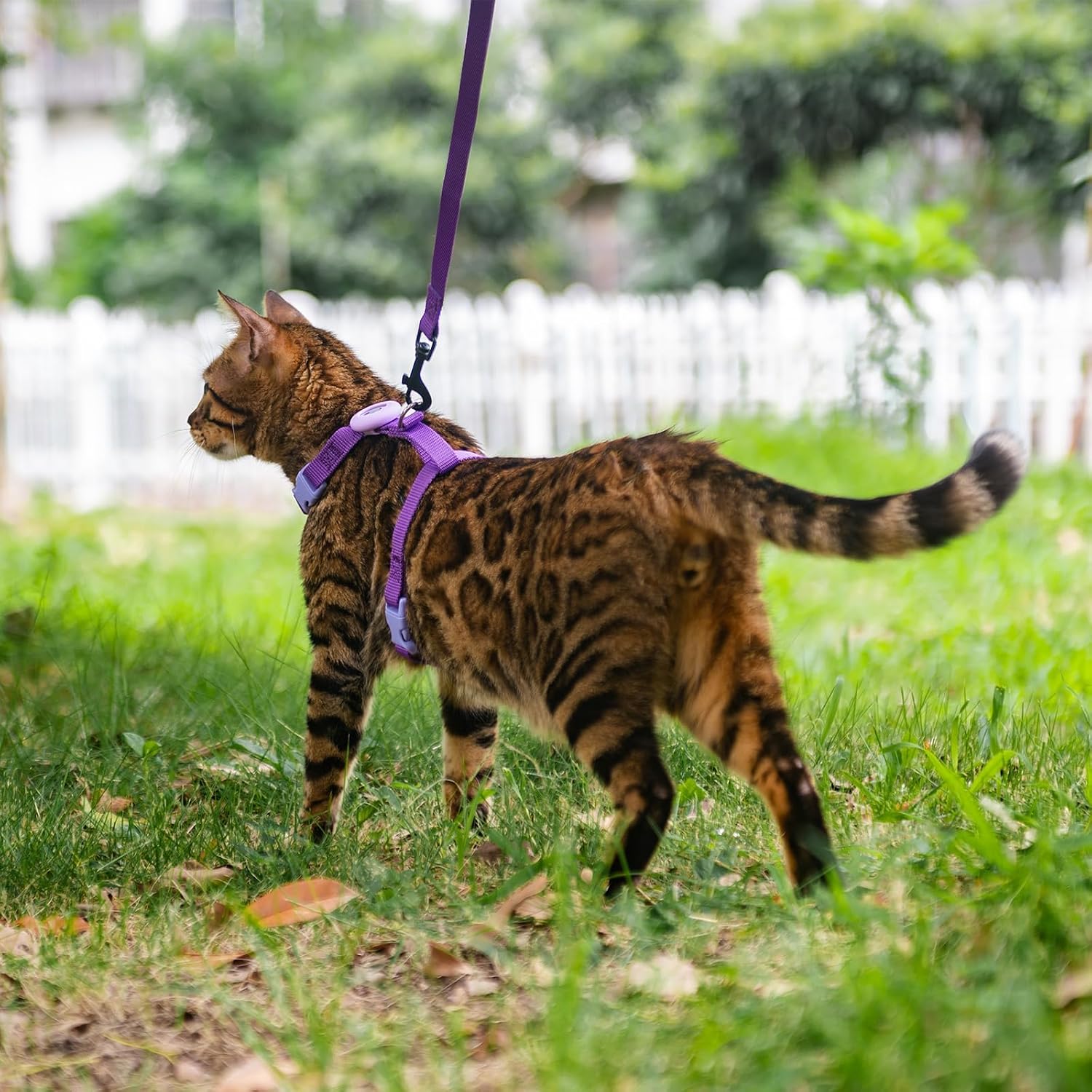 Close up shot of the secure adjustable plastic buckles on a lightweight cat vest