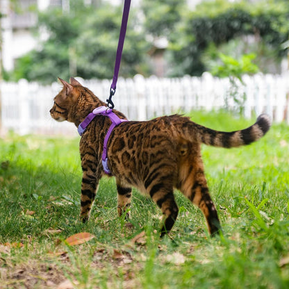 Close up shot of the secure adjustable plastic buckles on a lightweight cat vest