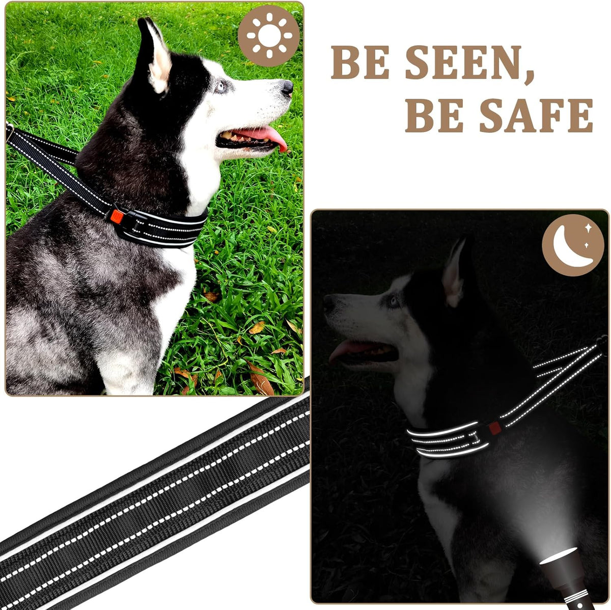 Reflective material test of Mayerzon dog collar in low light