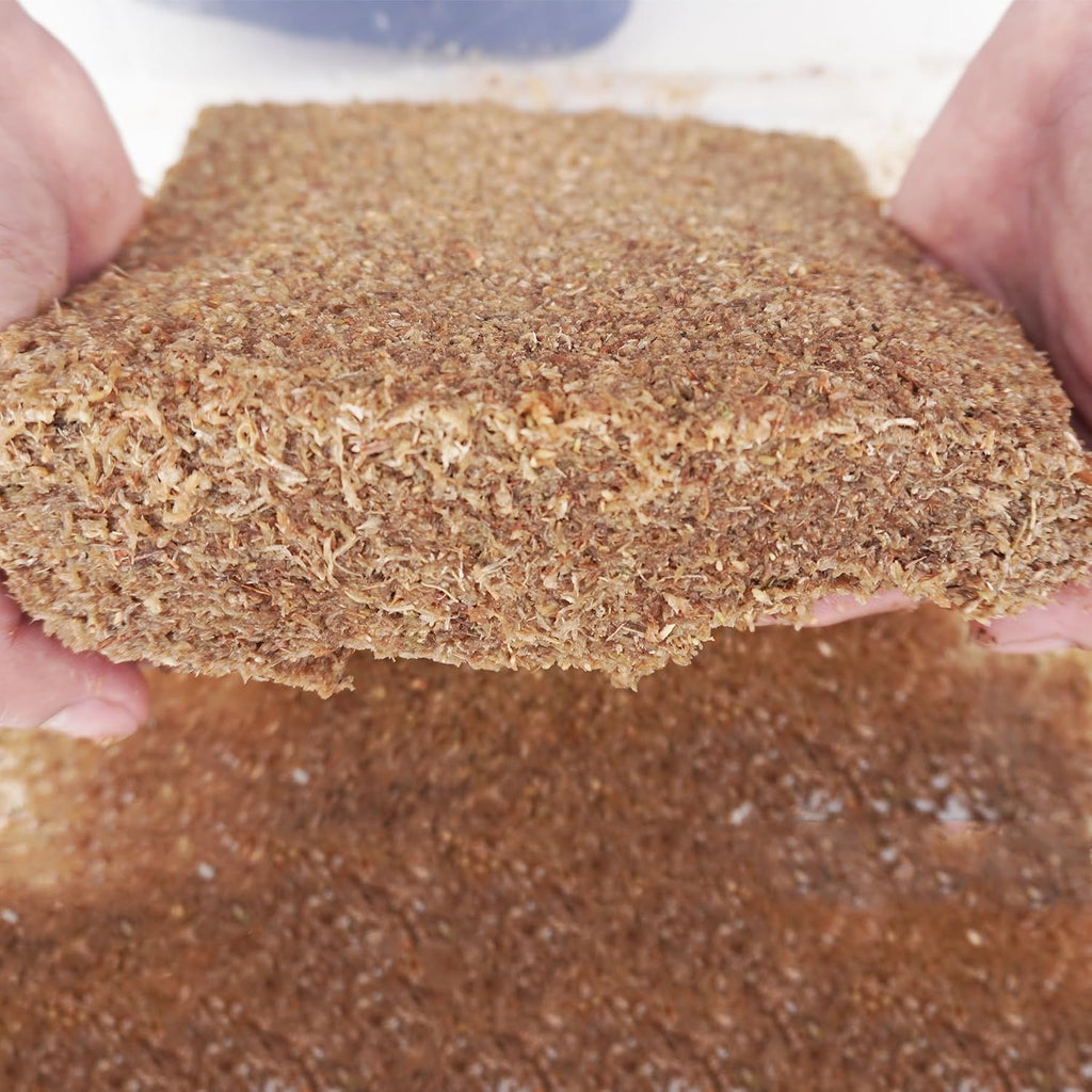 Soaking process of Begeterday moss substrate in water