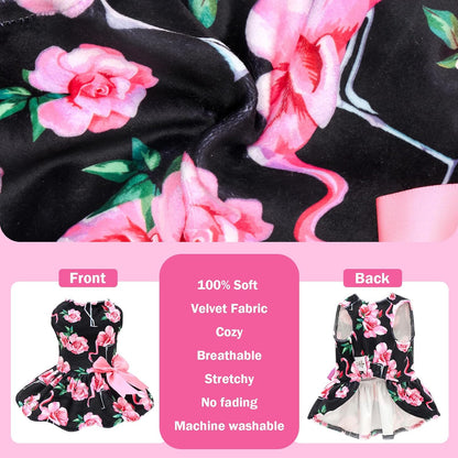 Authentic CuteBone imported pet outfits for special occasions