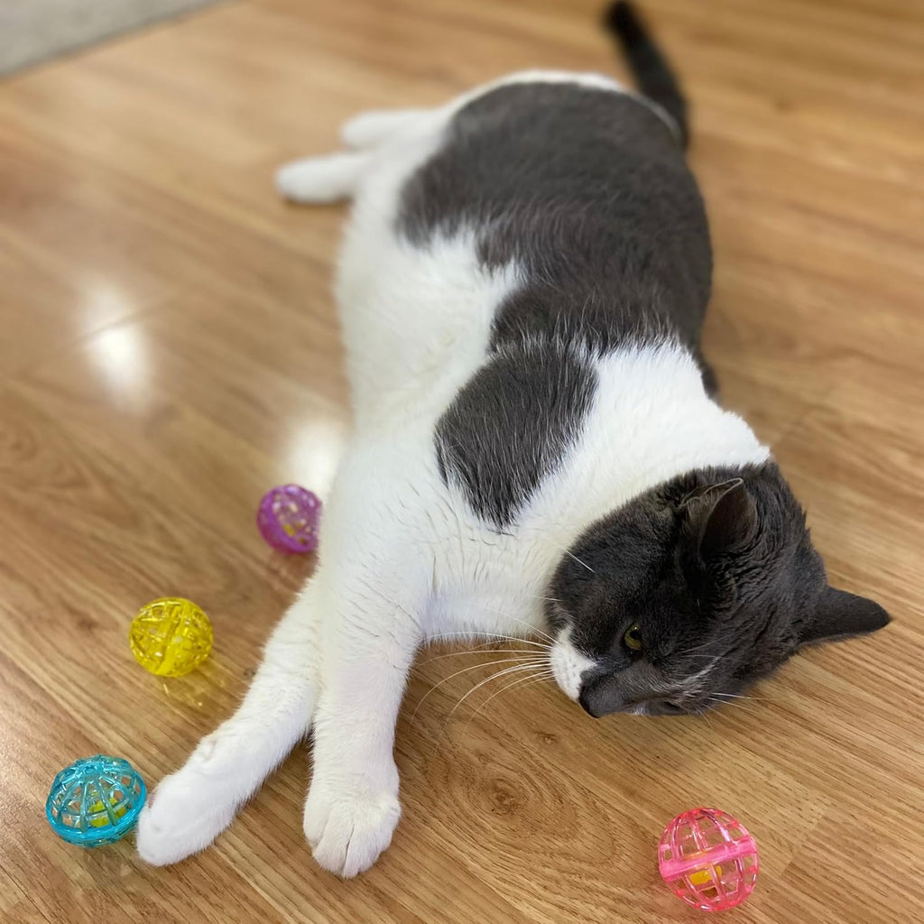 SPOT Lattice Balls Cat Toys - Durable, Fun Balls with Bells Perfect for Swatting and Batting, Colorful Toys to Entertain Indoor Cats and Kittens, - 1.5 inch, 4 pcs - Image 10