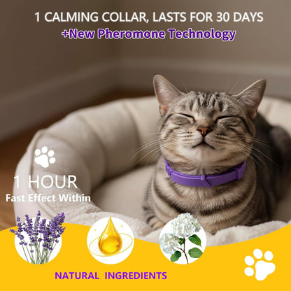 Natural ingredients cat stress relief collar close up