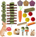 WDEFUN 21 piece rabbit chew toys front view showing full assortment of organic apple wood sticks and grass cakes