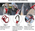Side profile of medium dog wearing Kurgo safety harness in car