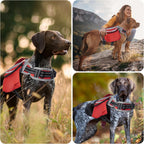 DENTRUN waterproof dog backpack folded compactly for travel and space-saving storage