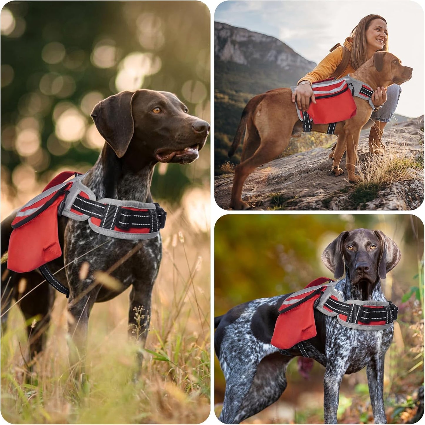 DENTRUN waterproof dog backpack folded compactly for travel and space-saving storage