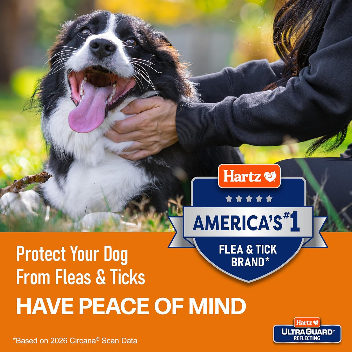 Back of packaging showing Hartz dog collar instructions