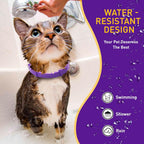 Calm cat resting comfortably wearing a purple silicone pheromone collar