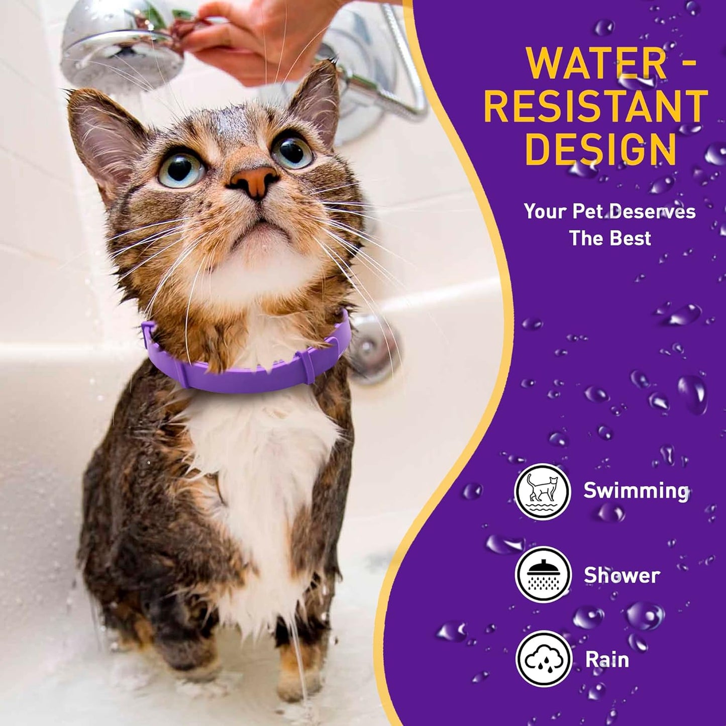 Calm cat resting comfortably wearing a purple silicone pheromone collar