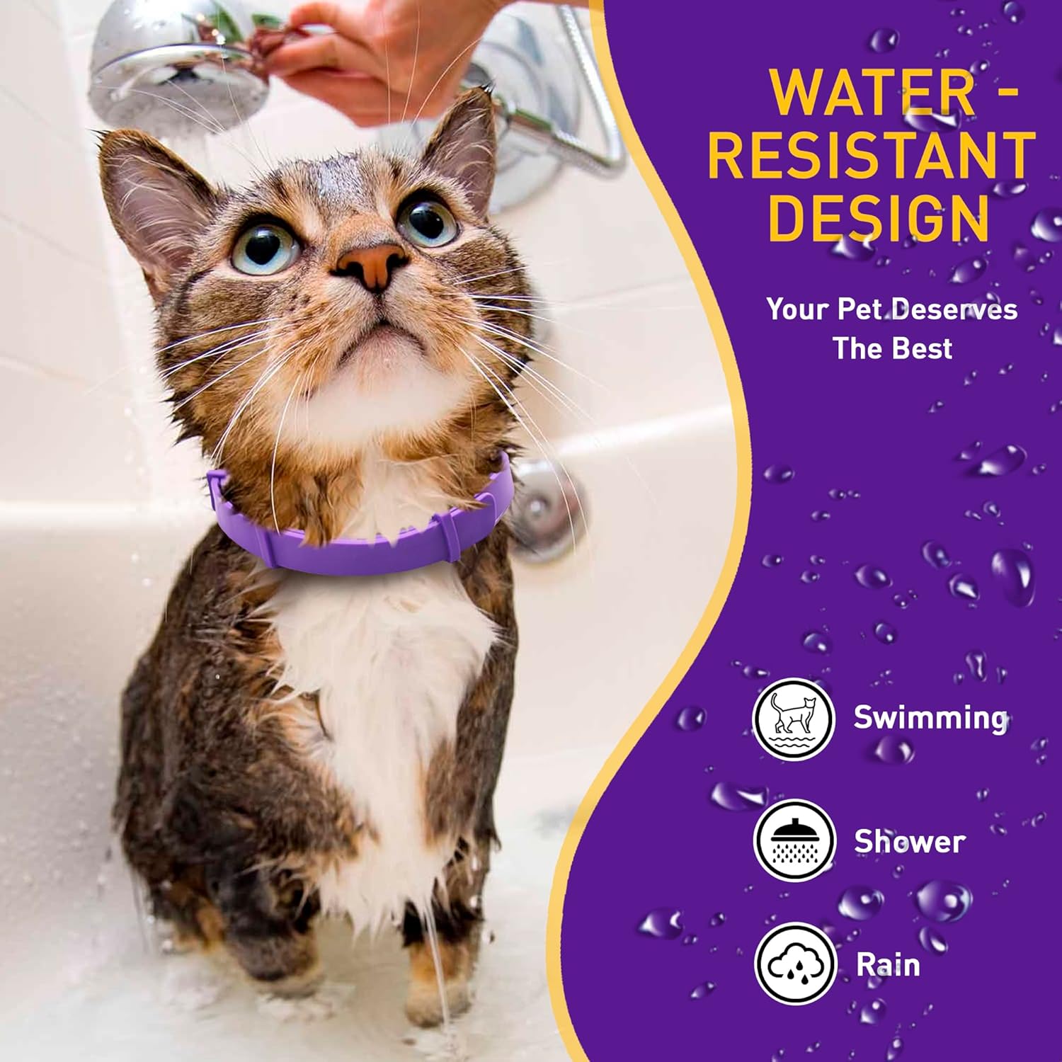 Calm cat resting comfortably wearing a purple silicone pheromone collar