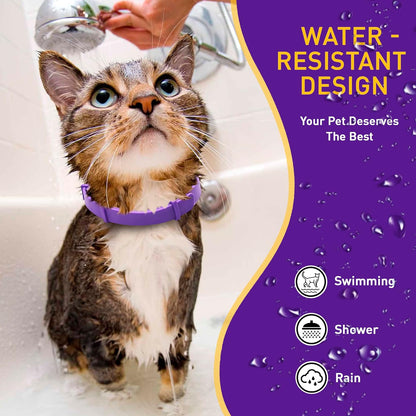 Calm cat resting comfortably wearing a purple silicone pheromone collar
