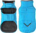 Petglad dog coat front view sky blue waterproof winter jacket on a puppy