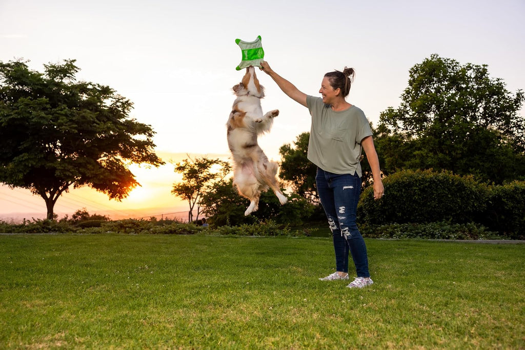 High visibility canvas material of Chuckit! dog toy