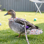 Magnoloran waterproof duck nappy highlighting inner leakage-proof pocket