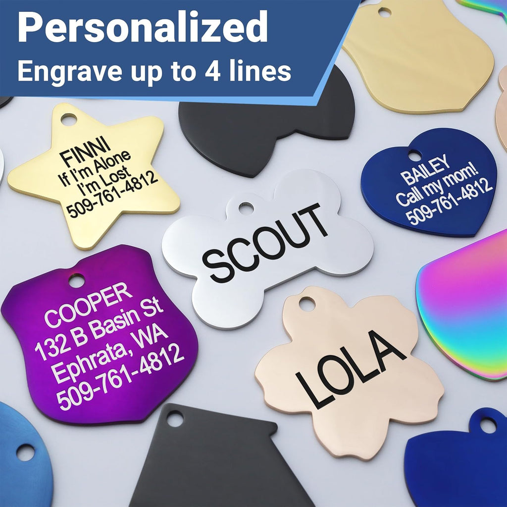GoTags stainless steel dog and cat tag double-sided text layout