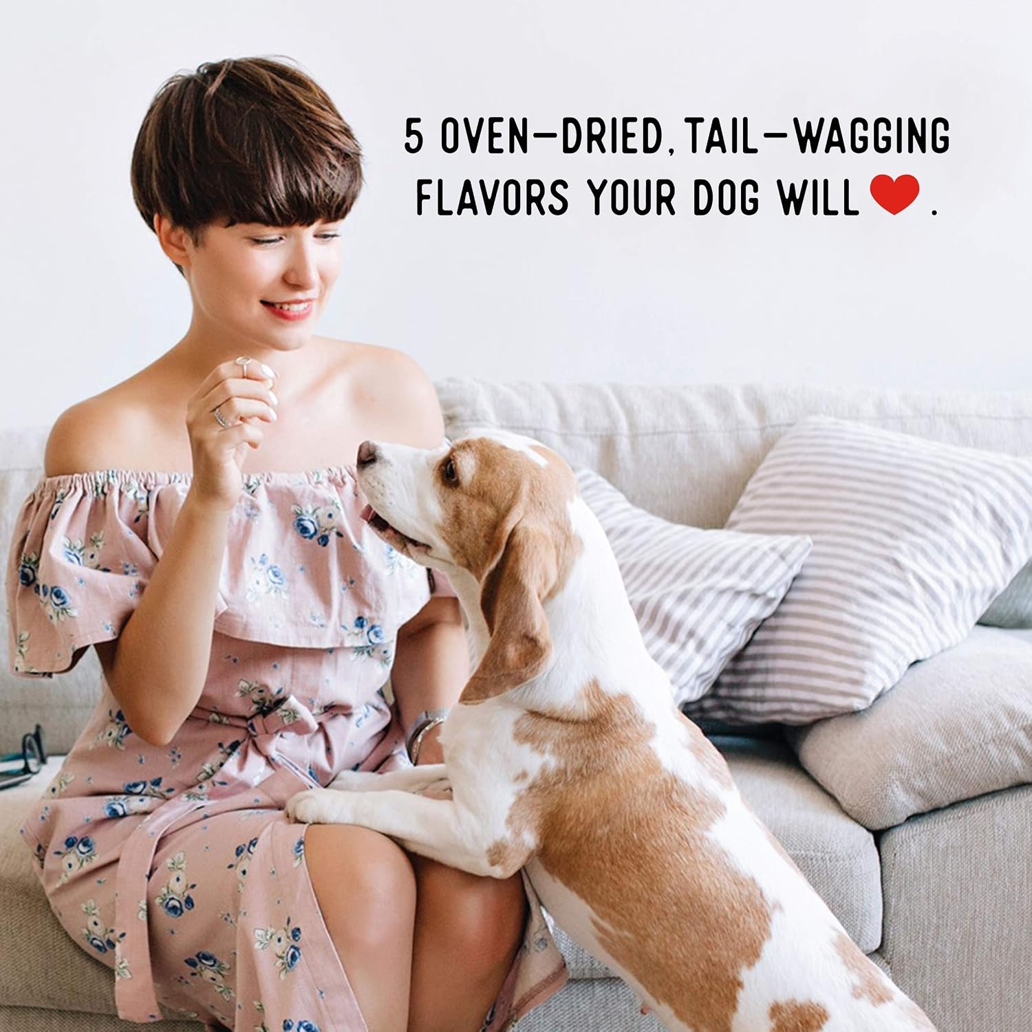 High protein air-dried jerky treats for dogs