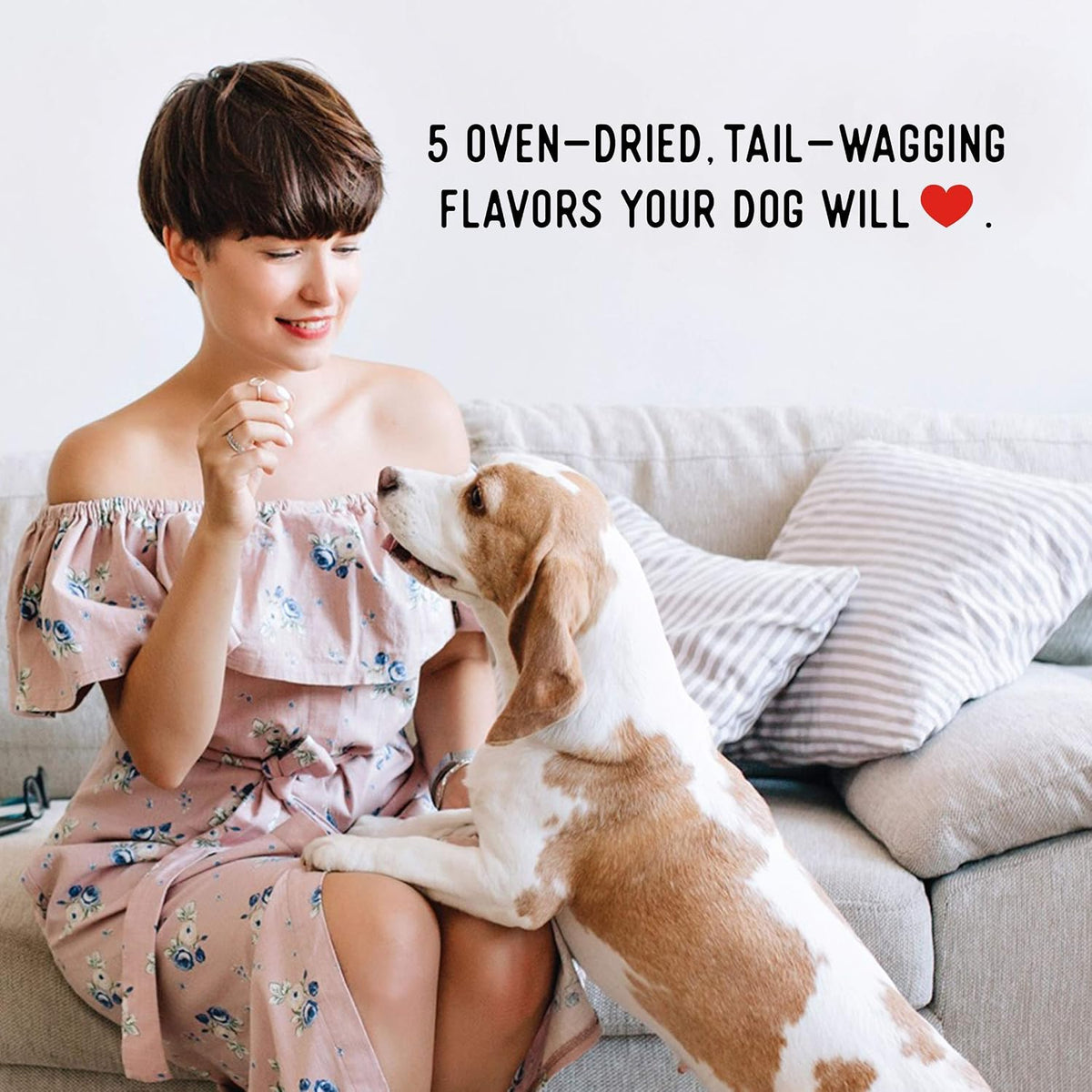 High protein air-dried jerky treats for dogs