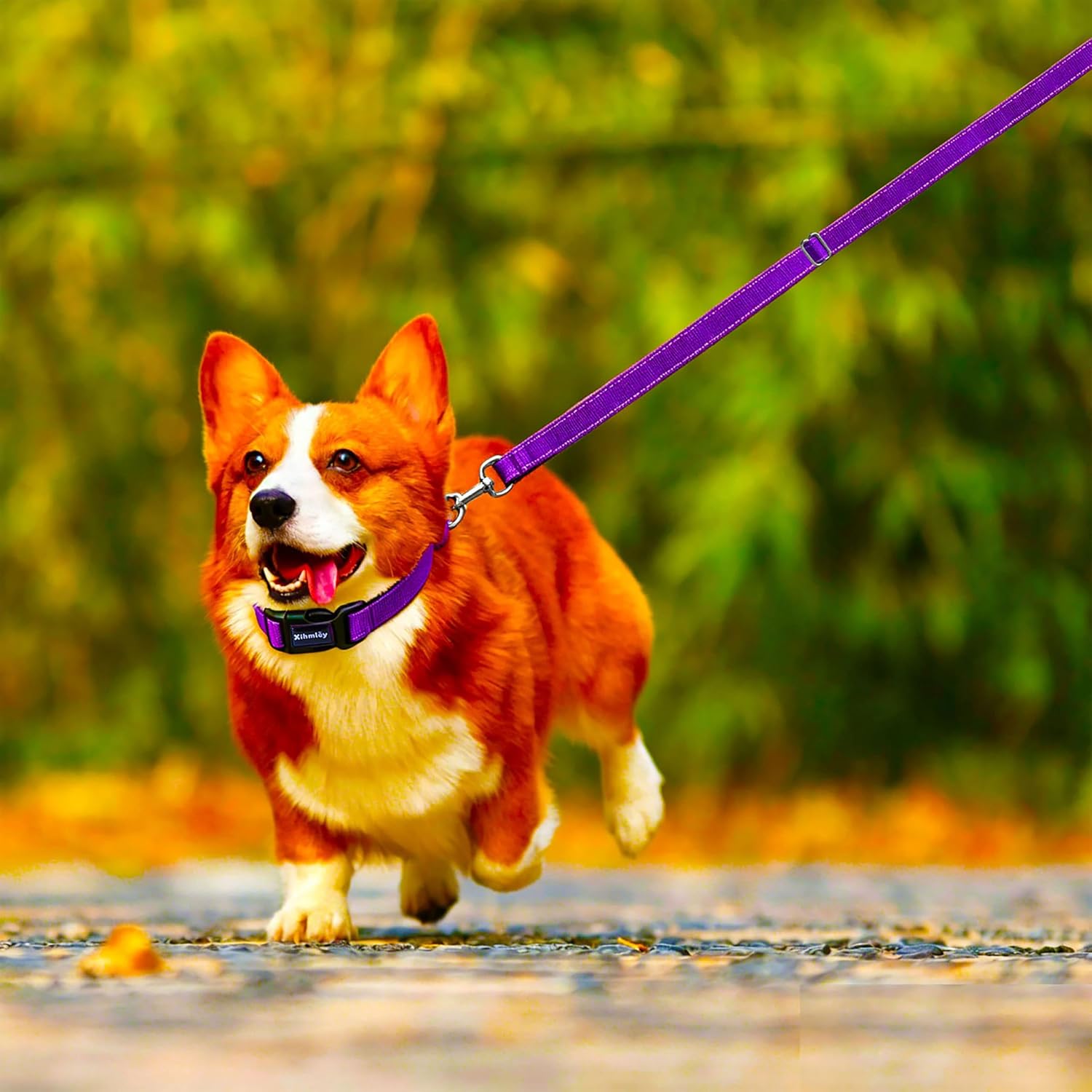 Stainless steel hardware on Xihmley pet leash set