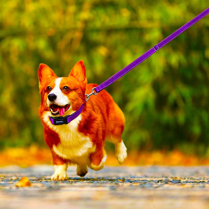 Stainless steel hardware on Xihmley pet leash set