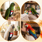 HekouJiub parakeet tuxedo apparel packaging