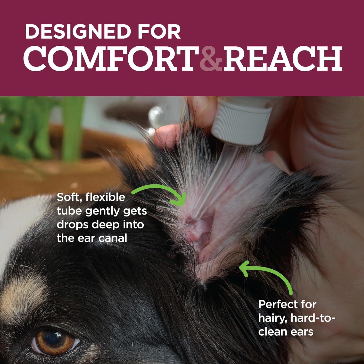 Vetality branded pet health product for dog and cat ear care