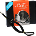 Canny Colossus no pull dog head collar front view black training aid