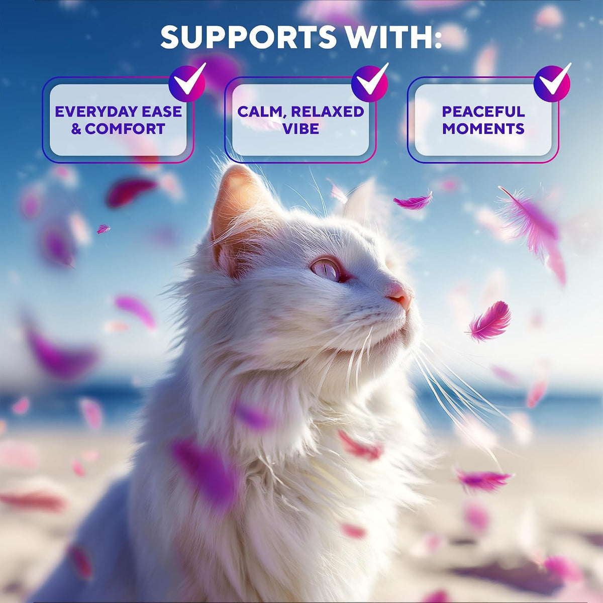 Cat calming pheromone kit showcasing the two pack refills and dual diffuser units.