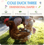 QBLEEV pet bird diaper shown with decorative bow detail