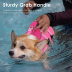 Heavy duty metal D ring leash attachment on pet life vest