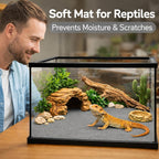 Hercocci terrarium accessories in bearded dragon tank