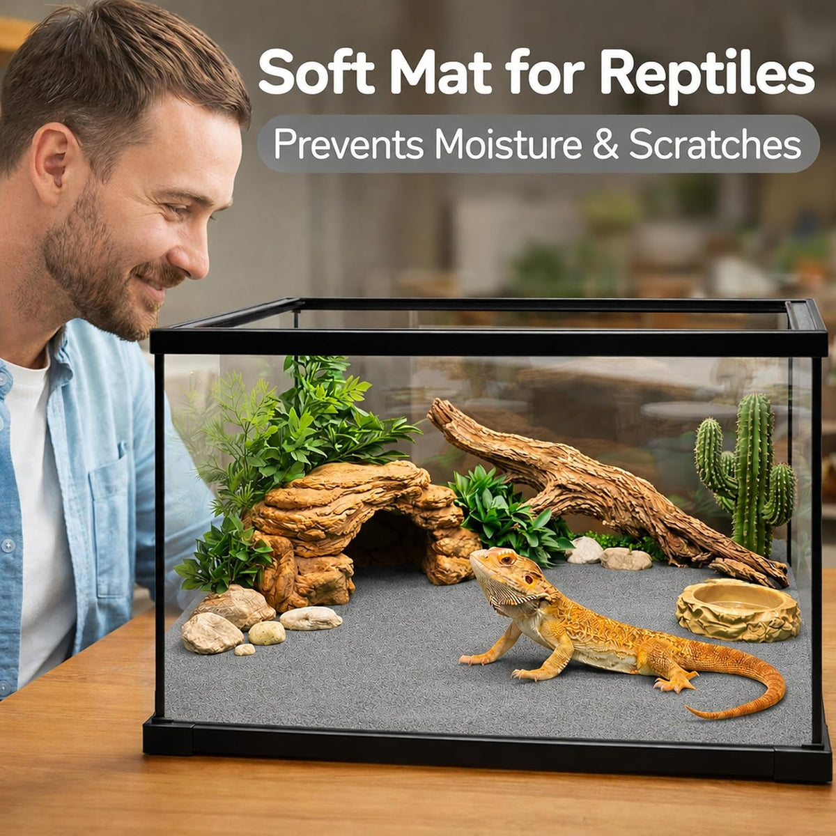 Hercocci terrarium accessories in bearded dragon tank