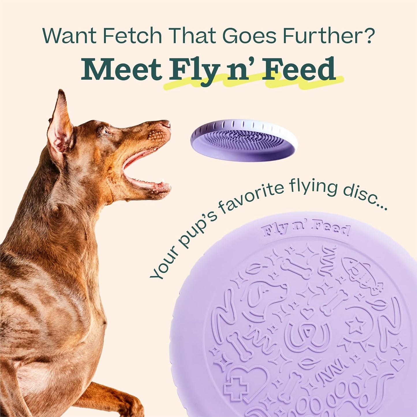 Dog playing with Woof Fly N' Feed disc in a park