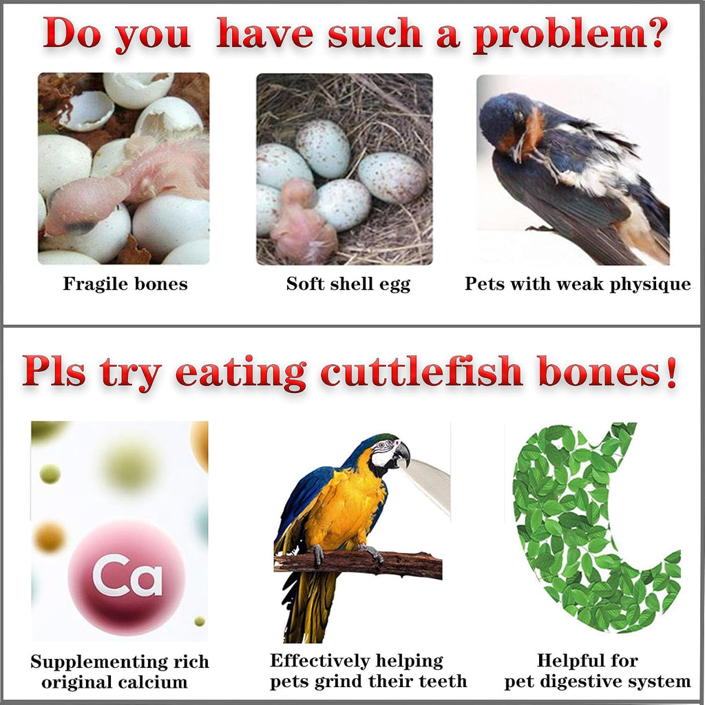 4.7-5.1'' Cuttlebone for Parakeets Cuttlebone for Birds - Natural Cuttlefish Bone Bulk Chew Toy Bird Bites Calcium Stone for Canaries Tortoises,Snails,Reptiles,Parrots,Cockatiel-20PCS - Image 4