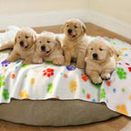 Durable dog blanket with reinforced stitched edges close up shot