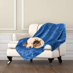 Msicyness premium plush fleece dog blanket front view showing soft fuzzy texture