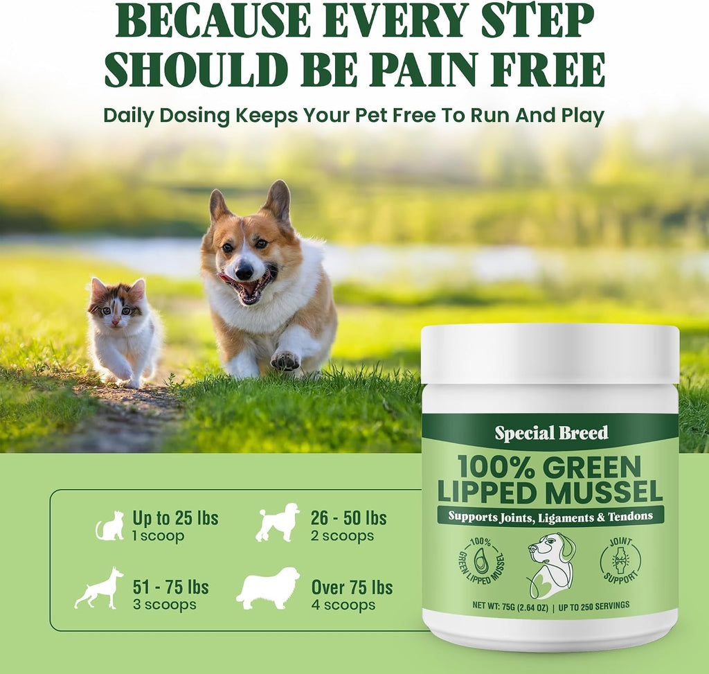 Authentic USA imported Special Breed seventy five grams powder for pets