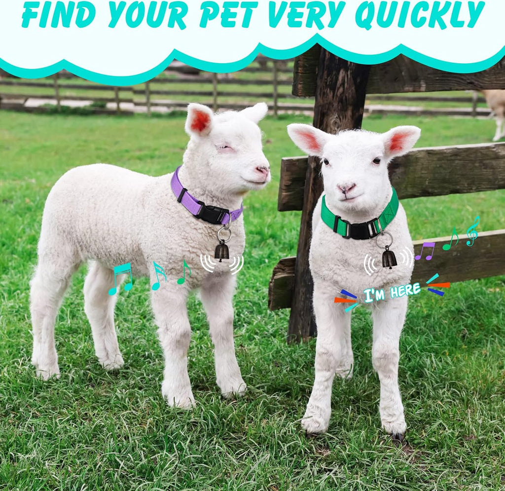 Patelai sheep collar quick-release plastic buckle detail