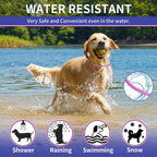 Front view of Yotango flea and tick collar branding