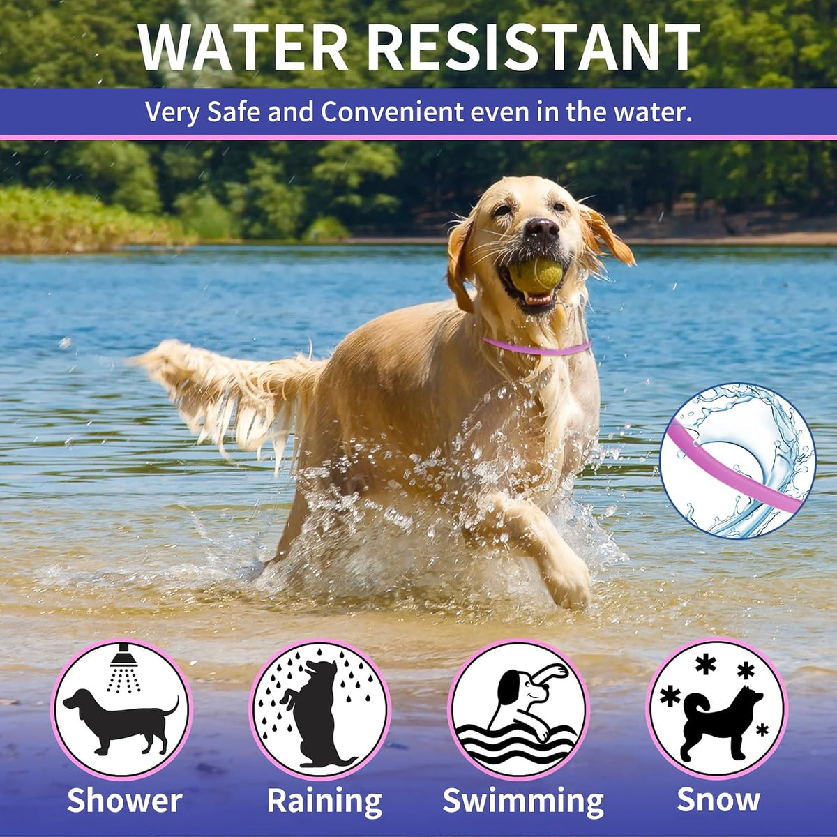 Front view of Yotango flea and tick collar branding