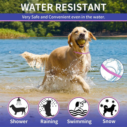 Front view of Yotango flea and tick collar branding