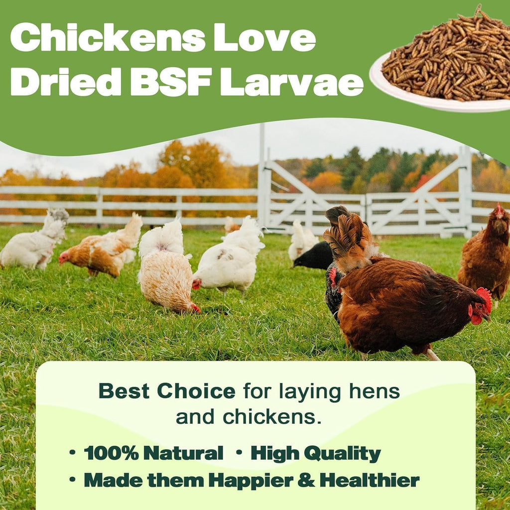 Natural organic reptile food product label view