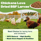 Natural organic reptile food product label view